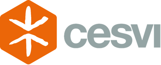 CESVI