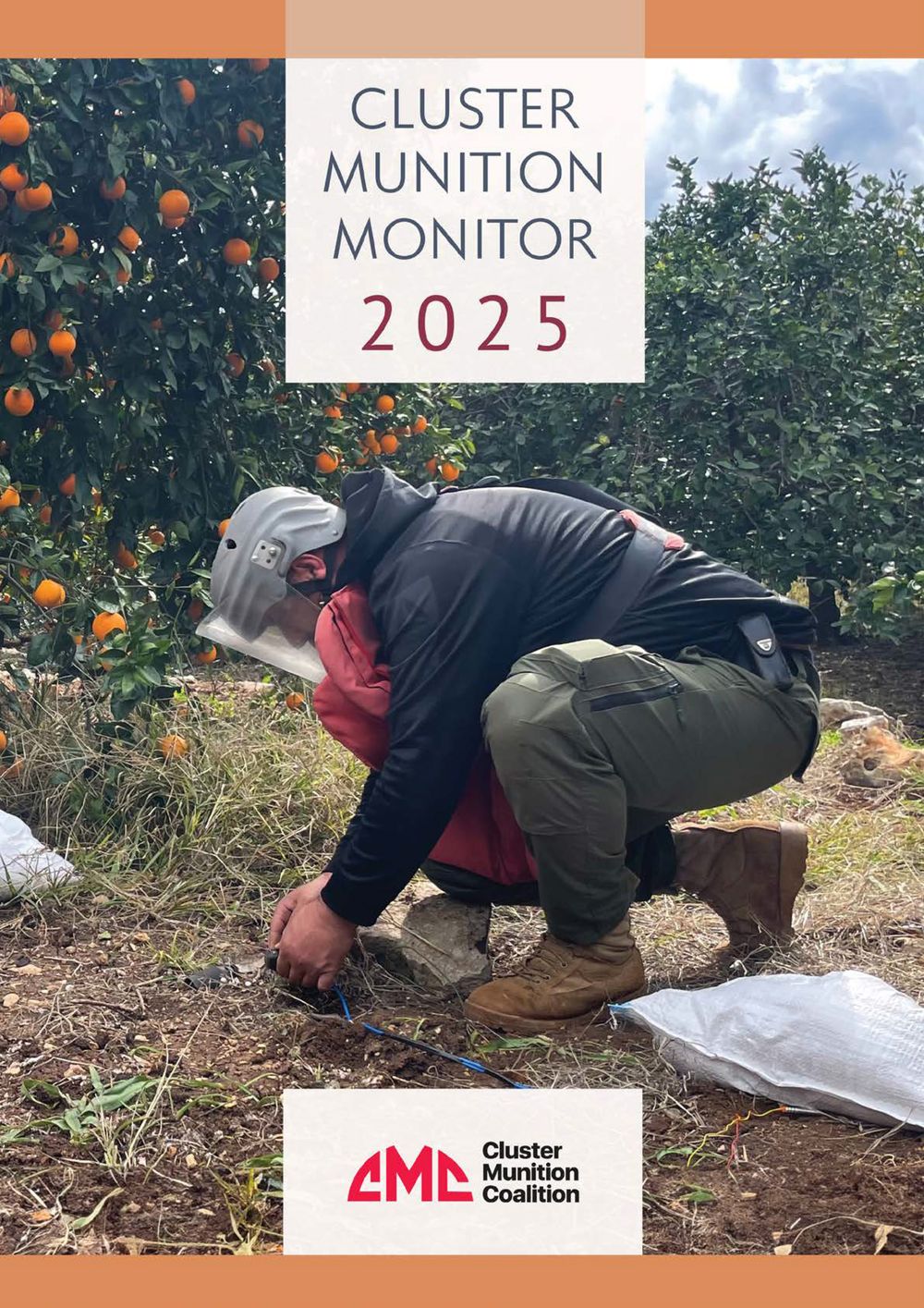 cluster munition monitor